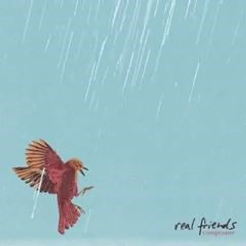 Real Friends - Composure vinyl record cover