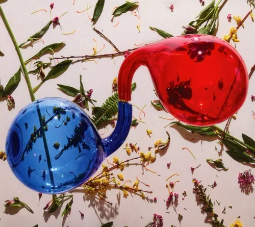 Dirty Projectors - Lamp Lit Prose [Indie Exclusive Limited Edition LP]