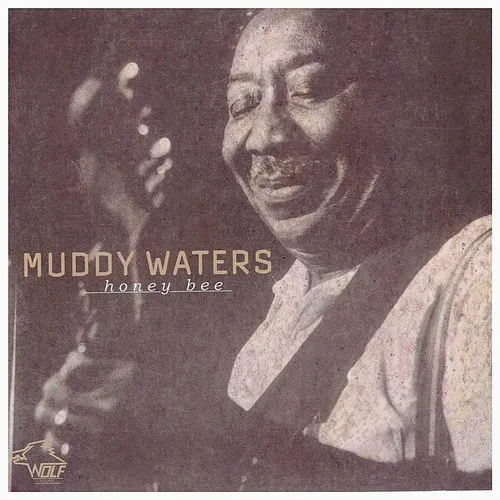 Muddy Waters - Sail on vinyl record cover