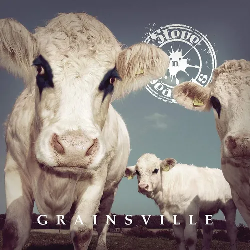 Steve ‘n’ Seagulls - Grainsville vinyl record cover