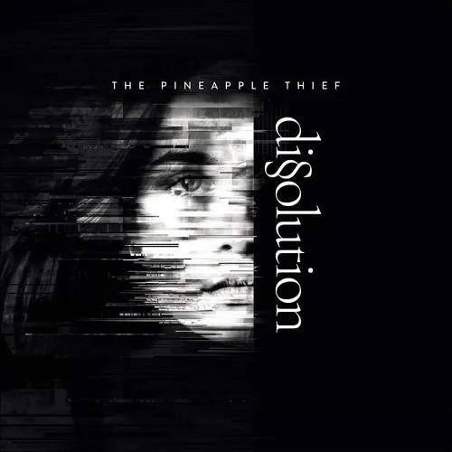 The Pineapple Thief - Dissolution vinyl record cover