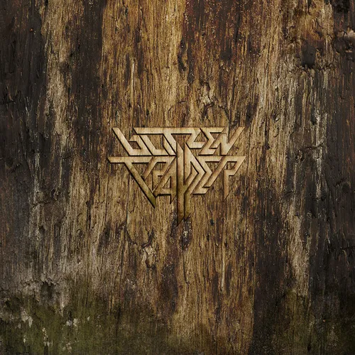 Blitzen Trapper - Furr: 10th Anniversary Edition vinyl record cover