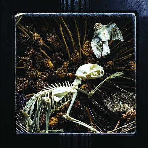 Album Art