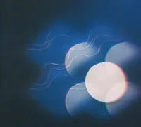 Thunder Follows The Light