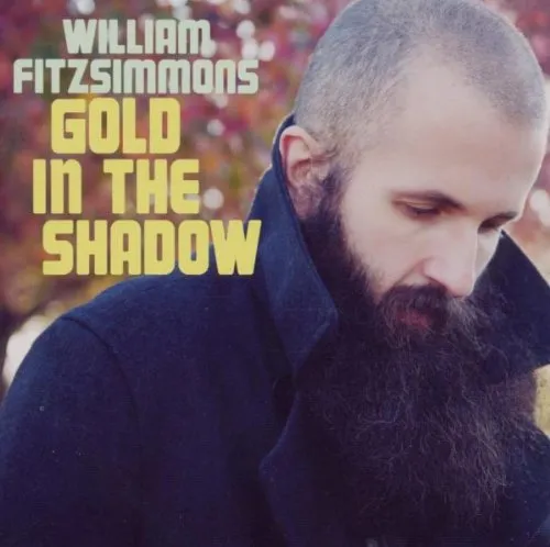 William Fitzsimmons - Gold in the Shadow vinyl record cover