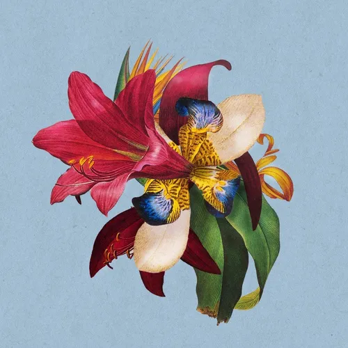Maribou State - Feel Good feat. Khruangbin [Vinyl Single]