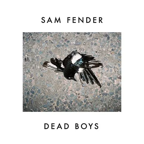 Sam Fender - Dead Boys (Can)