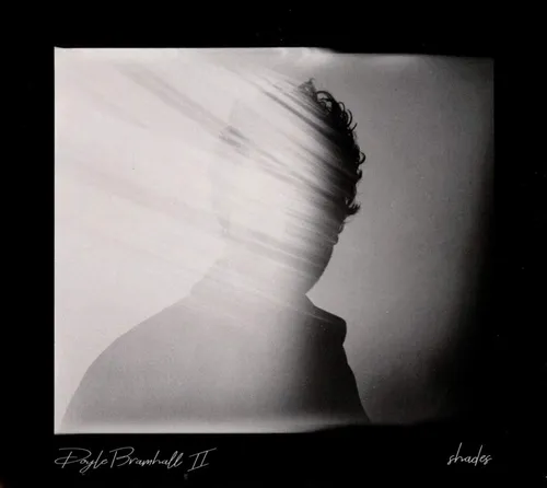 Doyle Bramhall II - Shades vinyl record cover