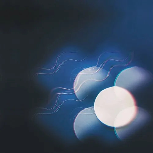 Mutual Benefit - Thunder Follows The Light vinyl record cover
