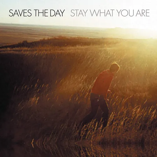 Saves The Day - Stay What You Are [LP]