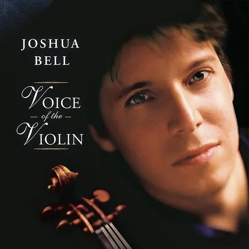 Voice Of The Vn (Uk)