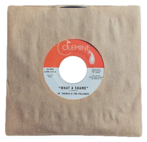 What A Shame / Brian Wilson