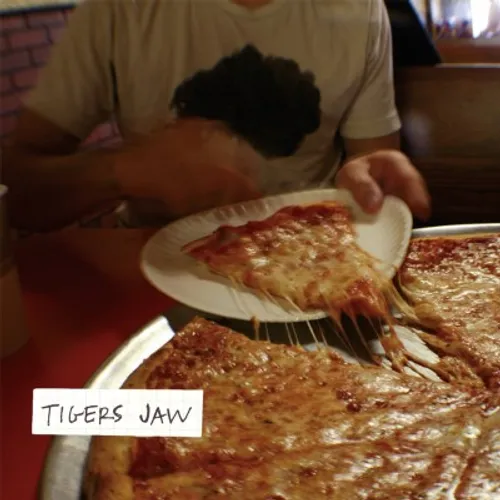 Tigers Jaw: 10 Year Anniversary