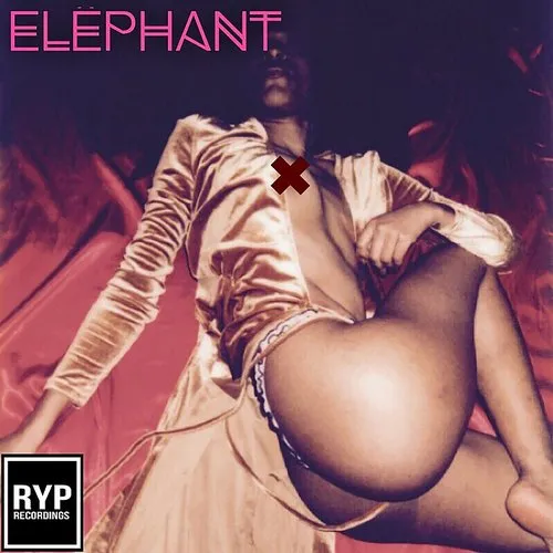 Elephant - The Elephant