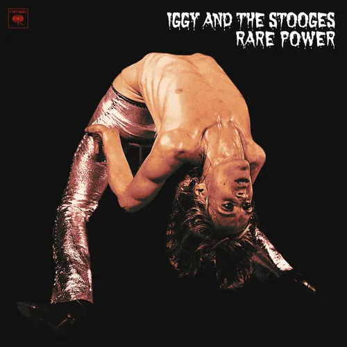 Iggy and The Stooges - Rare Power