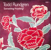 Something/Anything