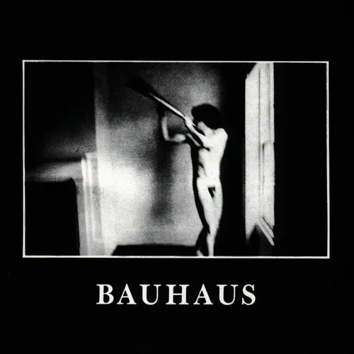 Bauhaus - In The Flat Field (Jpn)