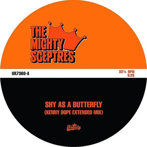 Shy As A Butterfly / Nothing Seems To Work Right