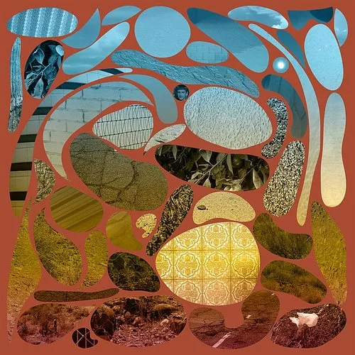 Pedro The Lion - Phoenix vinyl record cover