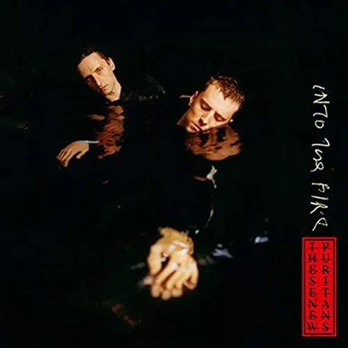 These New Puritans - Into The Fire [Vinyl]