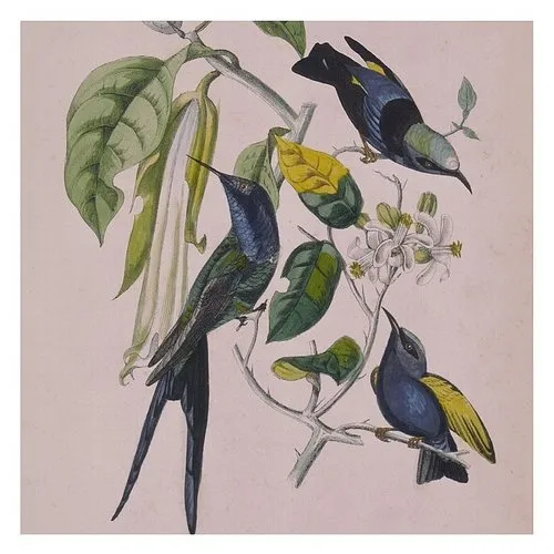 Susumu Yokota - Sakura