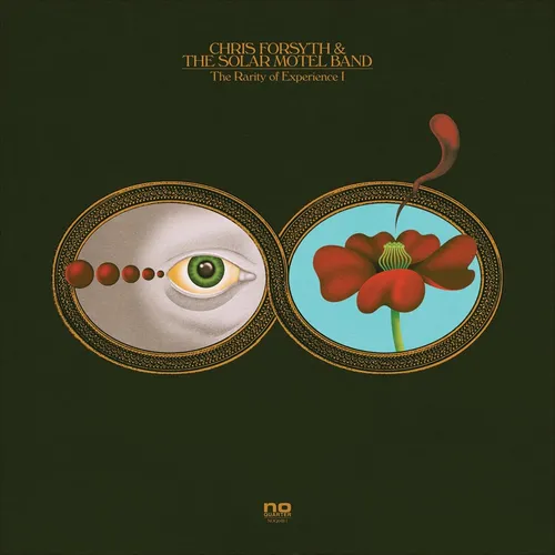 Chris Forsyth & The Solar Motel Band - The Rarity Of Experience vinyl record cover