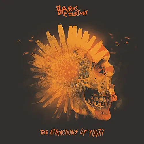 The Attractions Of Youth