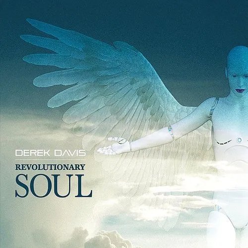 Revolutionary Soul