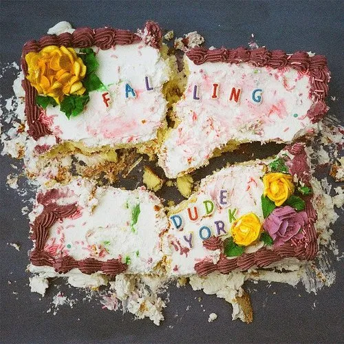 Dude York - Falling vinyl record cover