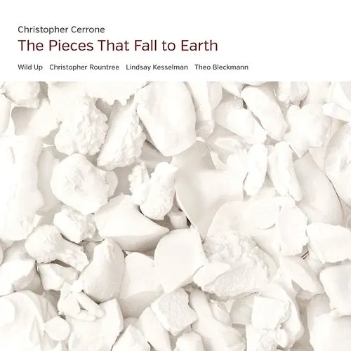 Pieces That Fall to Earth