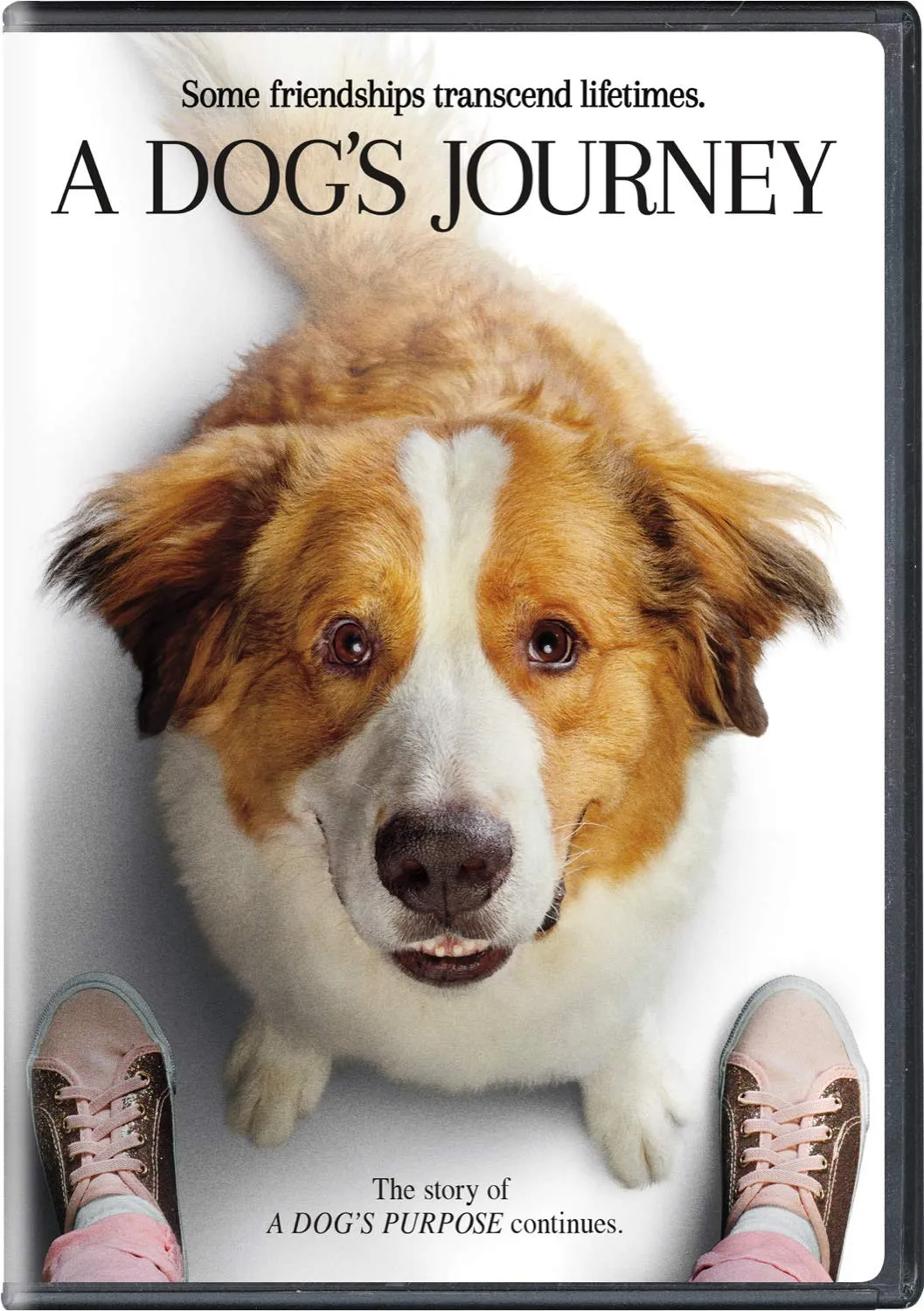 DVD · Universal Pictures