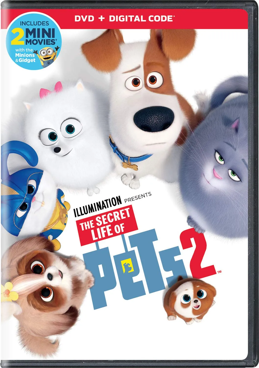 DVD · Universal Pictures