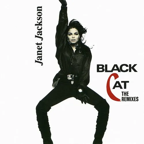 Janet Jackson レコードREMIXED | www.mercantilegazette.co.nz