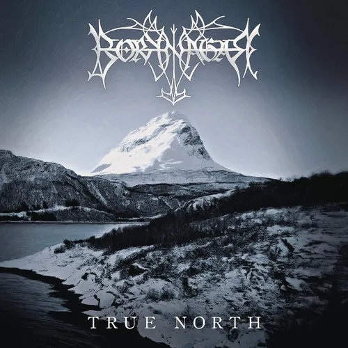 Borknagar - True North [Indie Exclusive Limited Edition Metallic Silver 2LP]