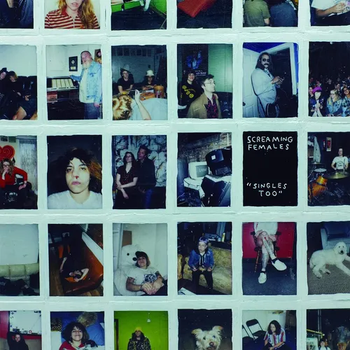 Screaming Females - Singles Too vinyl record cover