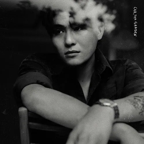 C (Volume 2) (Incl. Booklet)