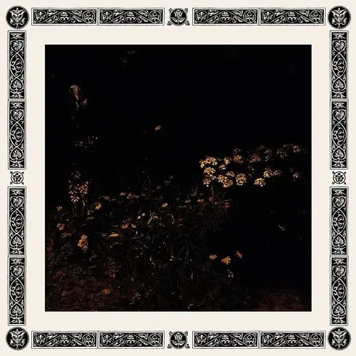 Pale Bloom