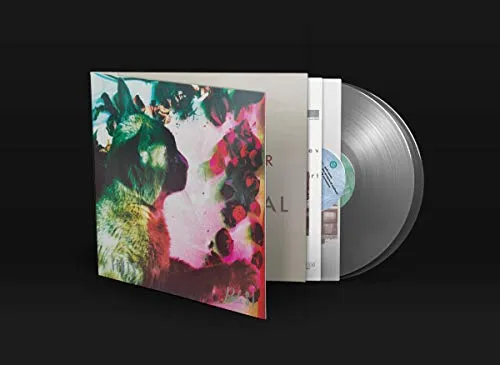 Pale Saints - The Comforts of Madness: 30th Anniversary Reissue vinyl record cover