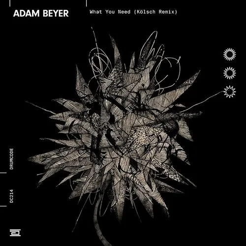 Adam Beyer - What You Need (Kolsch Remix)