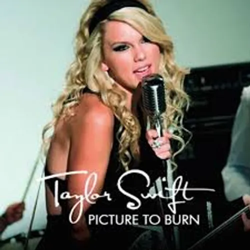 Picture To Burn