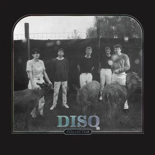 DISQ - Collector vinyl record cover