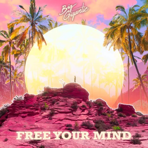 Big Gigantic - Free Your Mind vinyl record cover