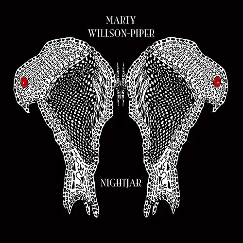 Marty Willson-Piper - Nightjar vinyl record cover