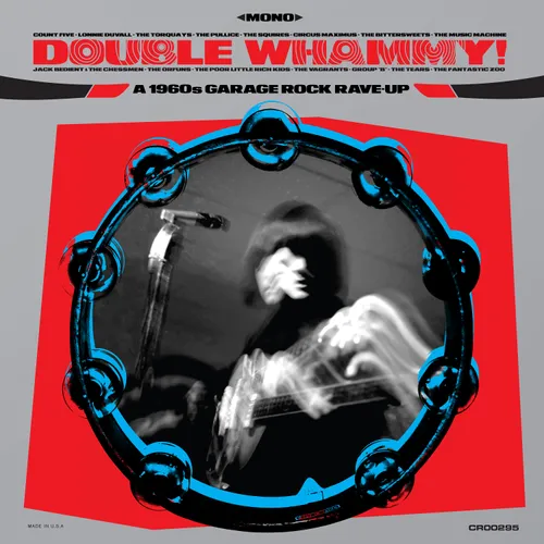 Various Artists - Double Whammy! A 1960s Garage Rave-Up [RSD Drops Oct 2020]
