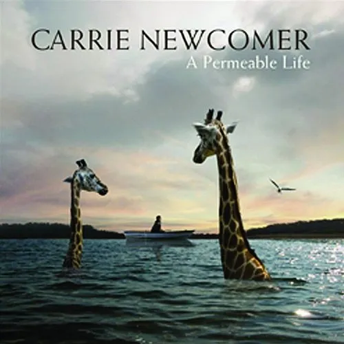 Carrie Newcomer - A Permeable Life vinyl record cover