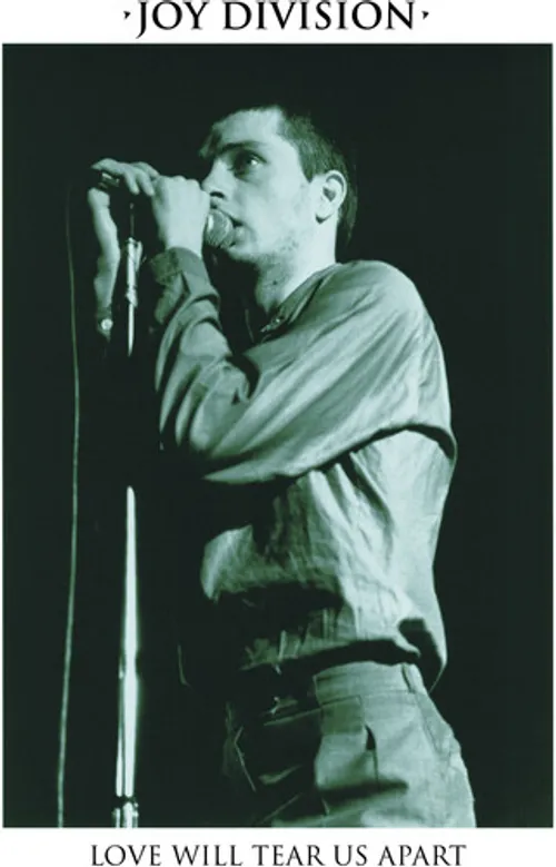 Joy Division - Love Will Tear Us Apart vinyl record cover