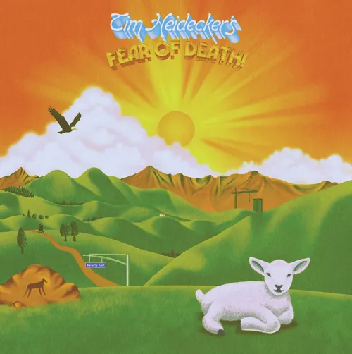 Tim Heidecker - Fear of Death [LP]