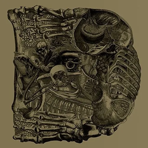 Boris - Dear vinyl record cover