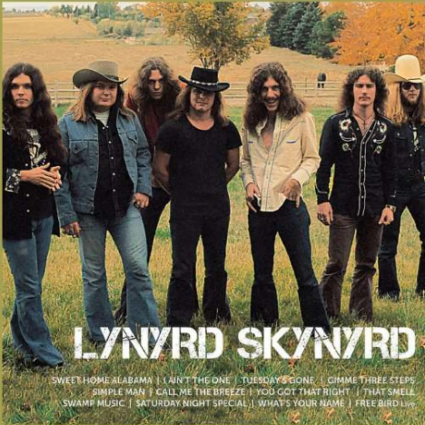 Lynyrd Skynyrd - Icon | Easy Street Records