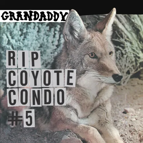 "RIP Coyote Condo #5" b/w " "The Fox in the Snow" & "In My Room"